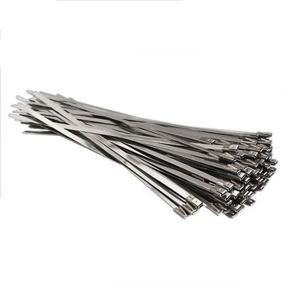 Palla che chiude le fascette ferma-cavo a chiave dell'acciaio inossidabile 360mm x 4.6mm fornitore