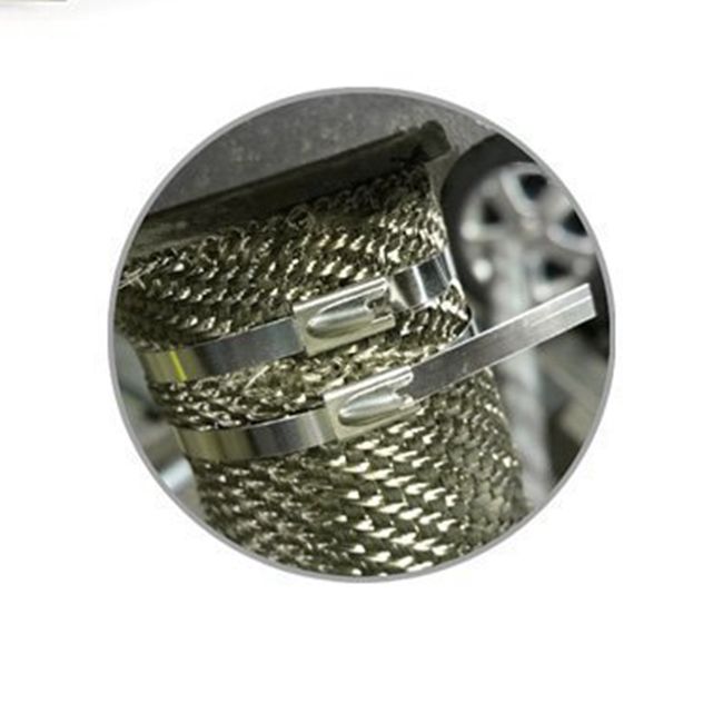 L'auto resistente delle fascette ferma-cavo dell'acciaio inossidabile che chiude lo zip a chiave a 10 pollici lega 50pcs/Pkt